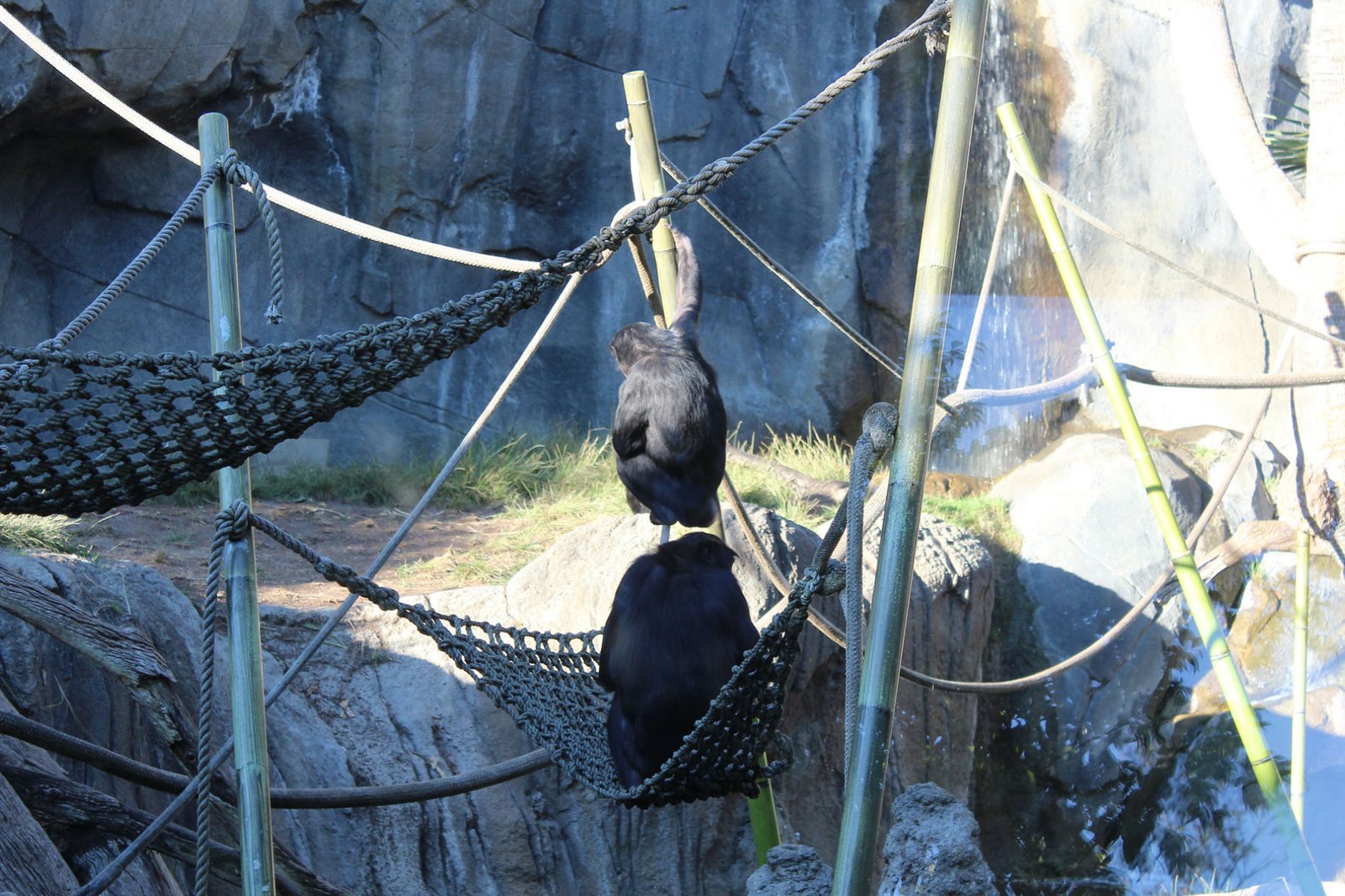 San Diego Zoo Part II 173